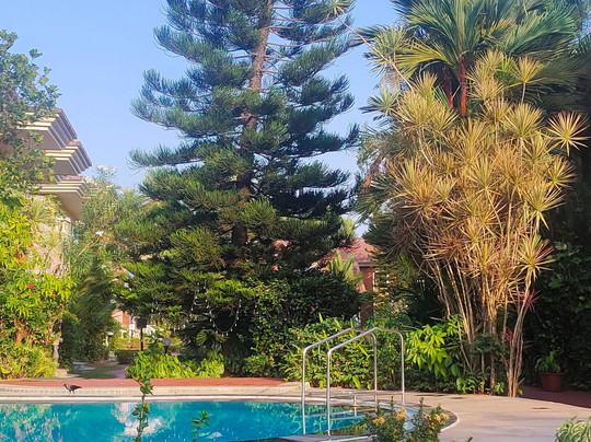 Coconut Grove Beach Resort主图