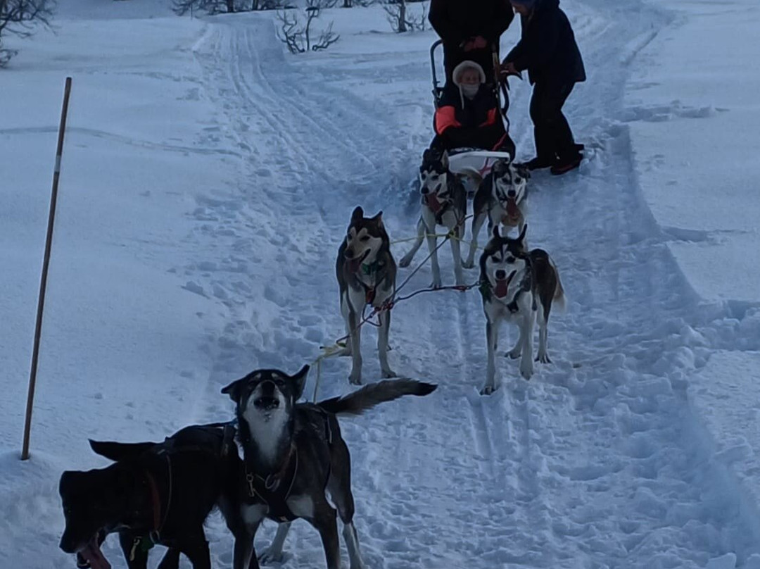 Beito Husky Tours Day Tours-Beito必去景点