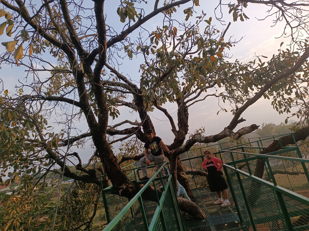 Cloud Forest Entertainment Park-Yelagiri必去景点