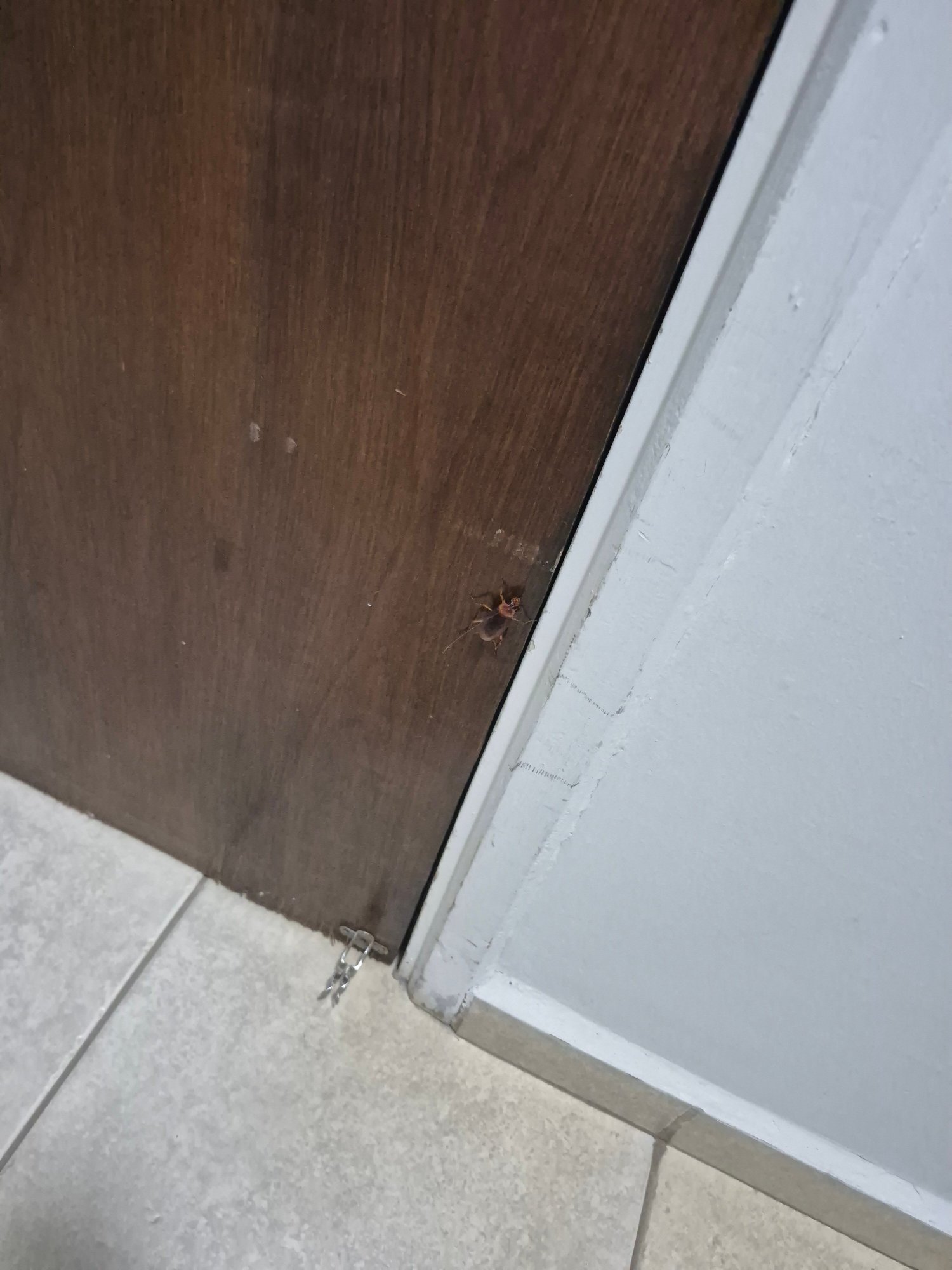 Pinhal Palace Hotel-官方