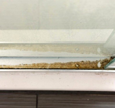 Hampton Inn & Suites Port Aransas主图