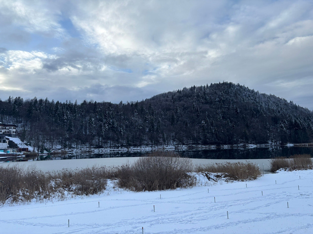 Lago di Lavarone-Lavarone必去景点