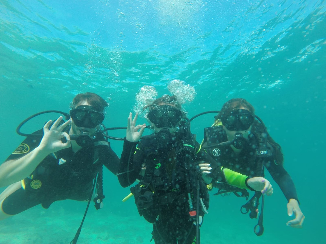 Scuba World Diving Mauritius-马喜埔必去景点