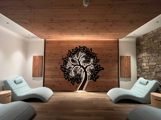 Hotel Shandranj主图