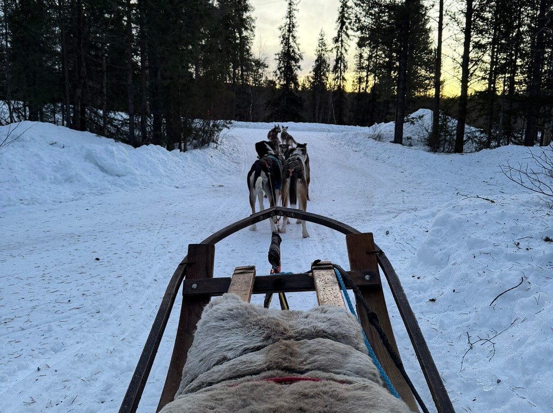Bohemian Lucky Bastards-Jukkasjarvi必去景点