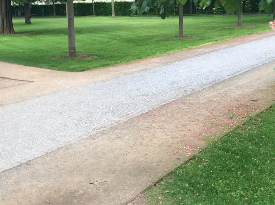 Kitchen Garden - Küchengarten-Gera必去景点