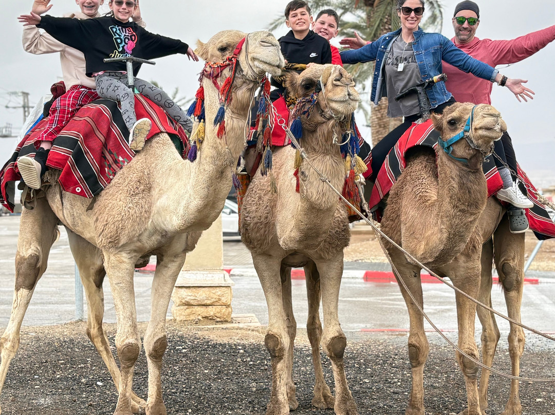 Jerusalem With Jeremy-耶路撒冷必去景点
