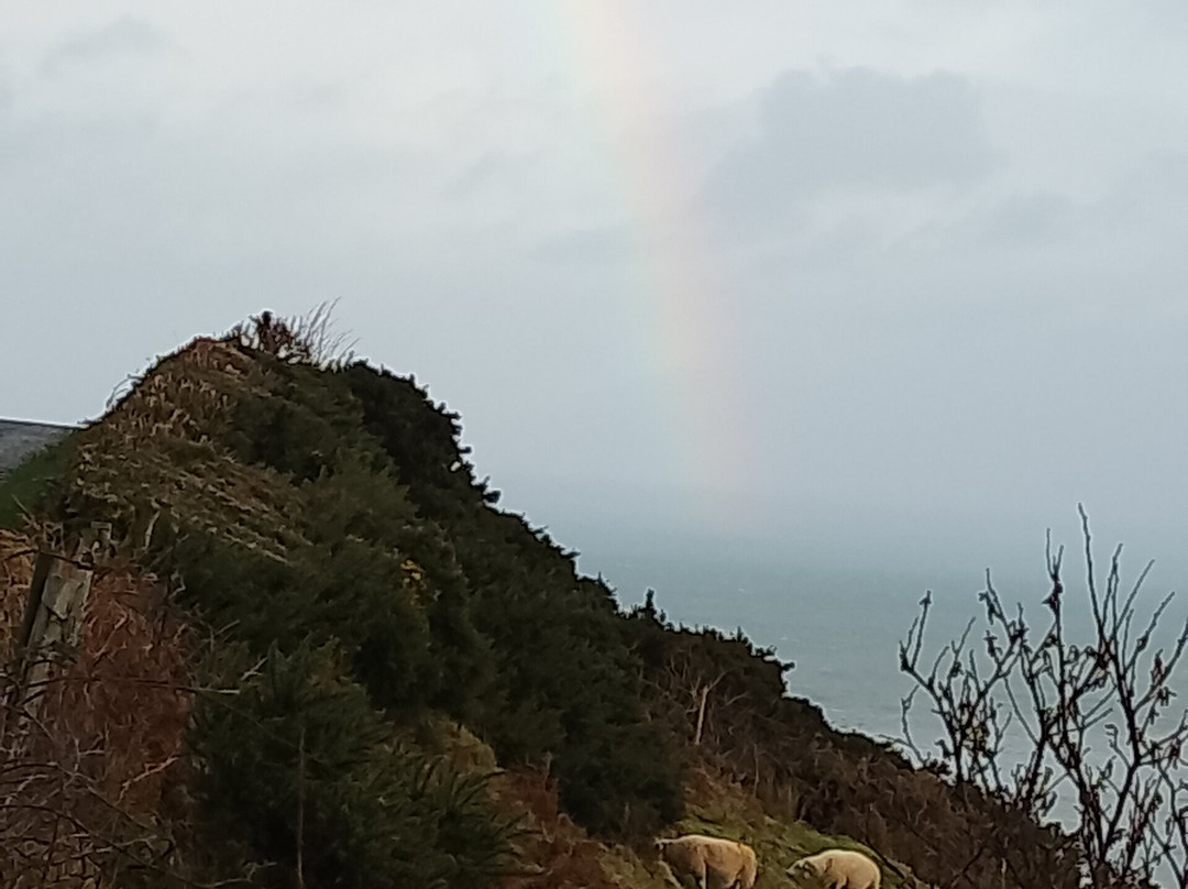 Causeway Coastal Route-Ballintoy必去景点