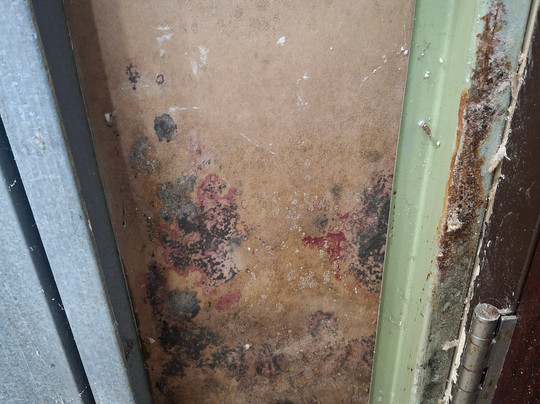 Best Western New Albany主图