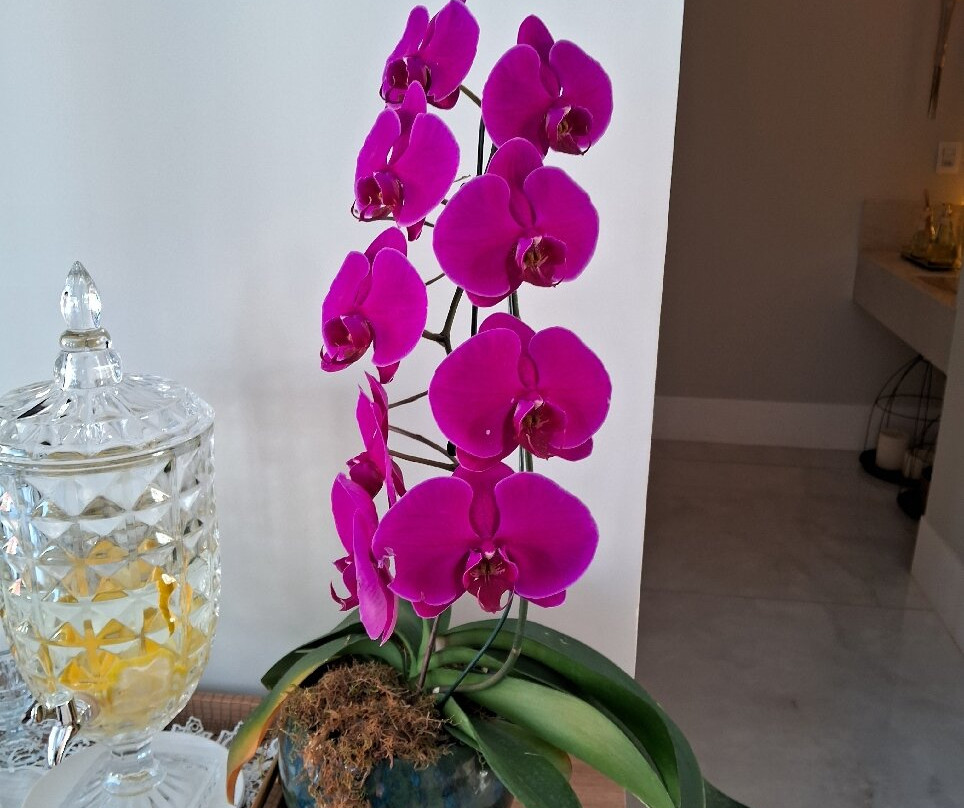 Vista do Lago Hotel主图