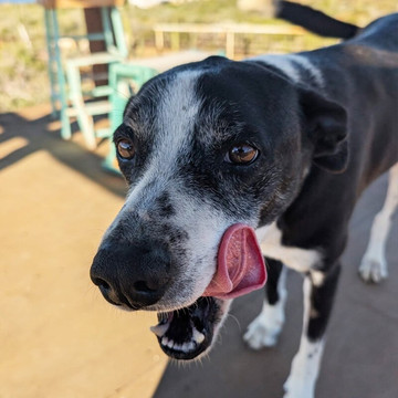 Cerritos Cowboy-Playa Cerritos必去景点