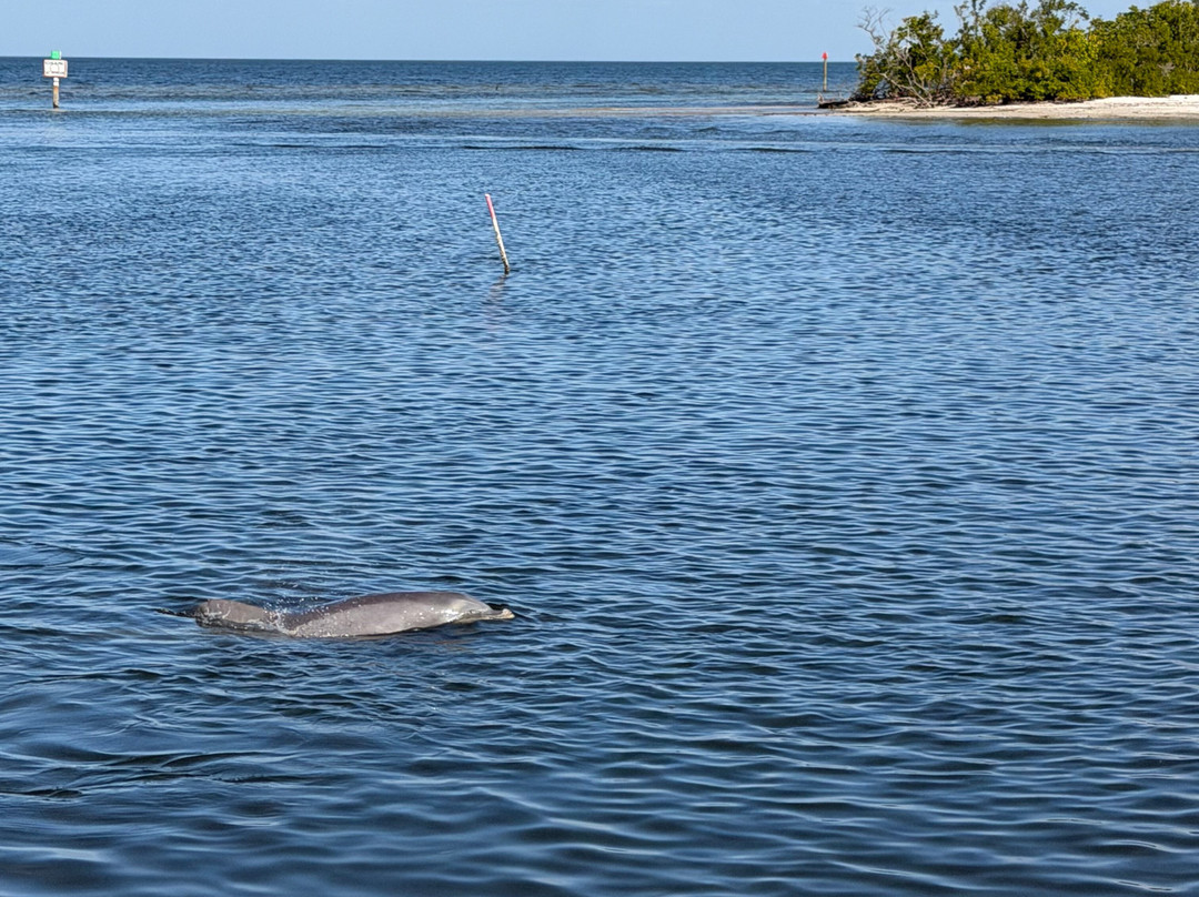 Monroe Canal Marina-Saint James City必去景点