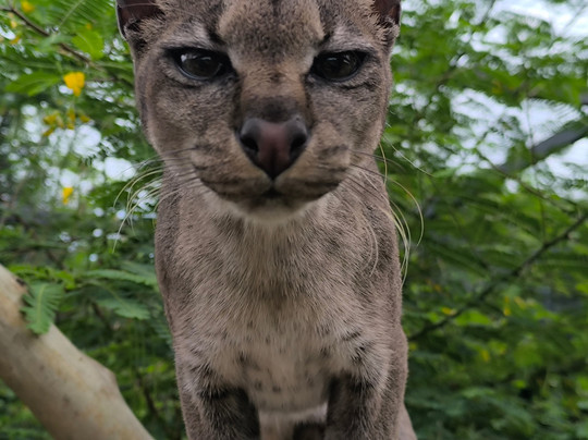 CTC Conservation Center-Mpigi必去景点