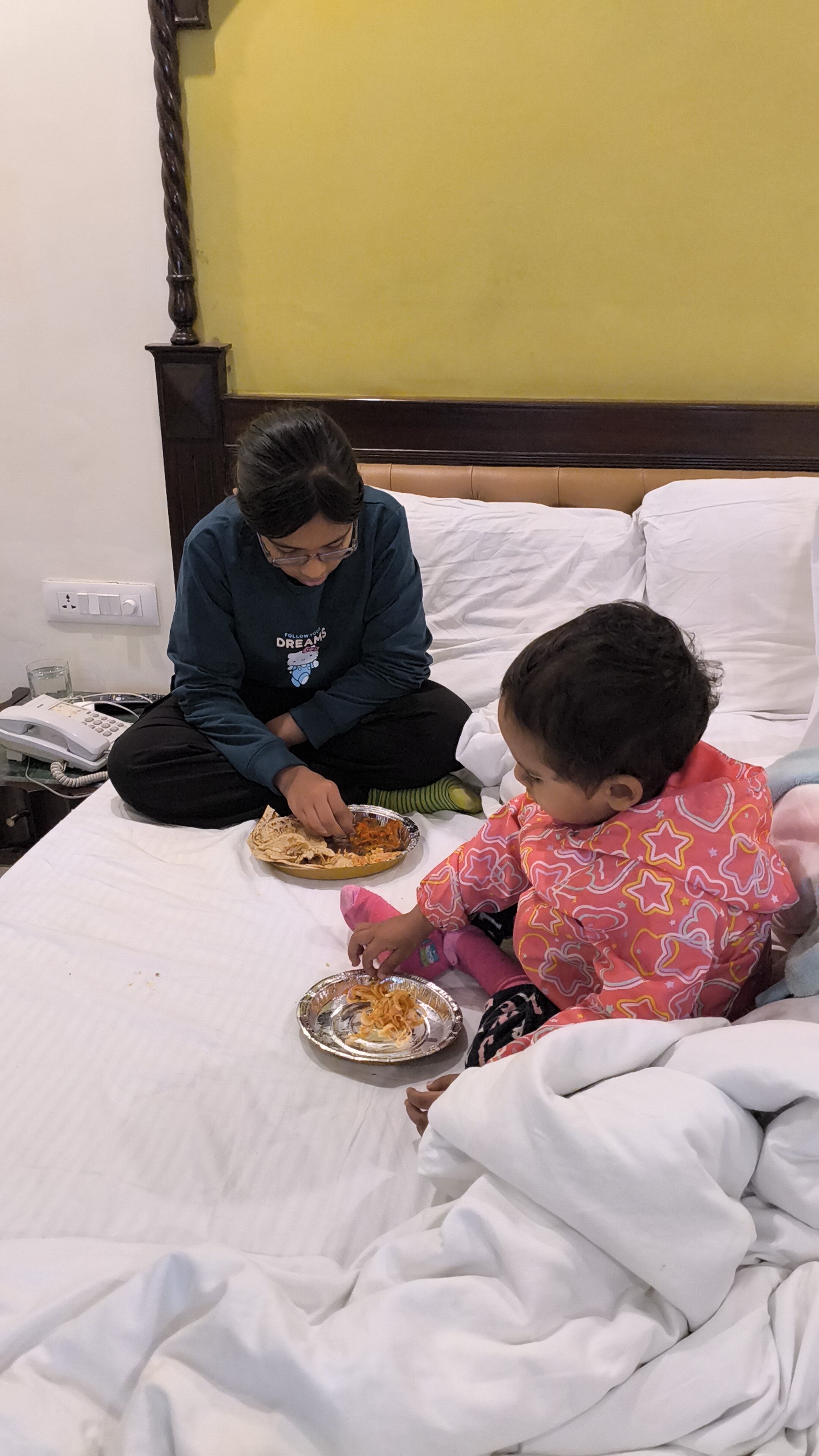 Mansingh Palace, Ajmer-官方