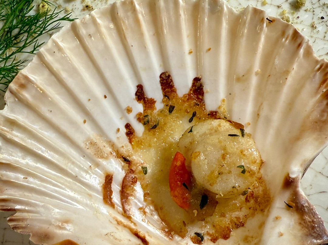 Albergo Rosita主图