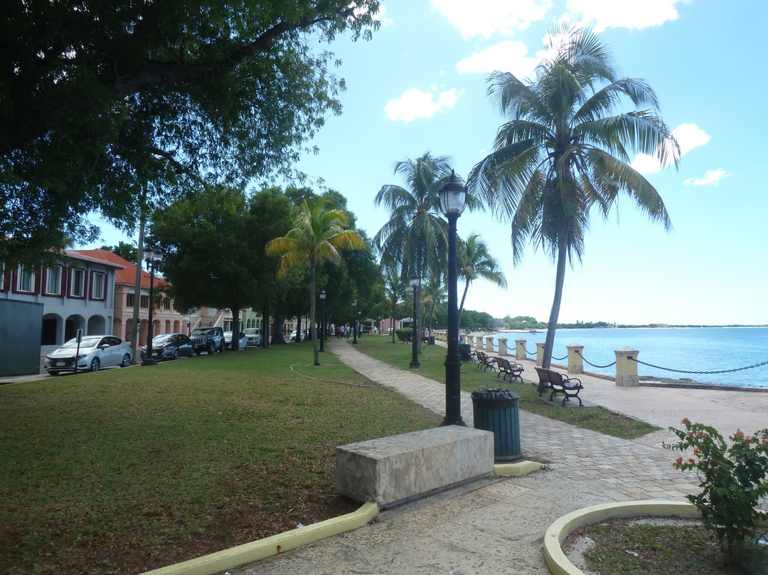 Verne I. Richards Veteran Memorial Park-Frederiksted必去景点