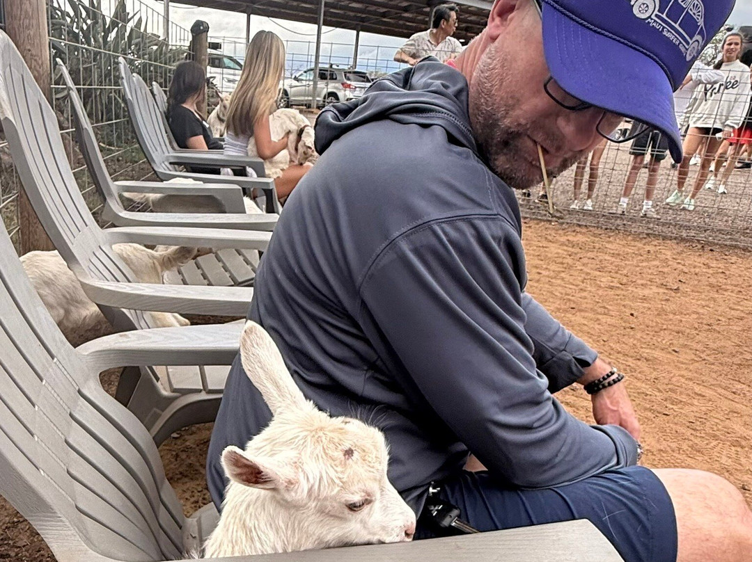 冲浪山羊农场-库拉必去景点