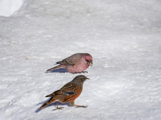 Nepal Nirvana Trails-加德满都必去景点