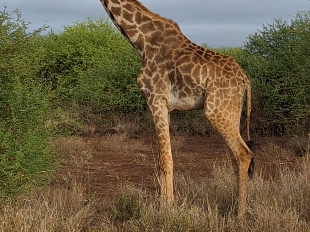 Aventure Safaris-蒙巴萨必去景点