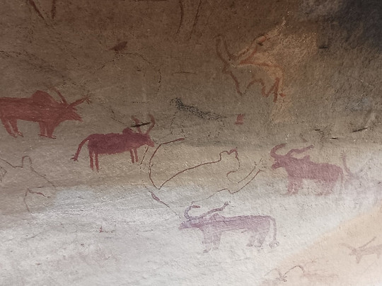 The Castle View Homestay主图