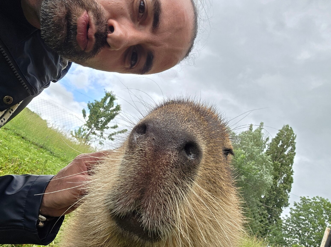 Domaine de Bel-Air-Le Landeron必去景点