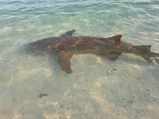 Manta View Guest House主图