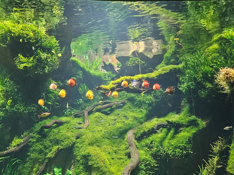 上海世博展览馆-上海市必去景点