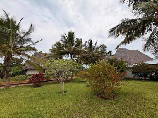 Kiweni (Shamiani)酒店住宿-Tanzanite Beach Resort