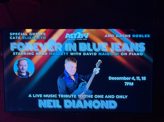 Act2PV Theater & Piano Bar-瓦拉塔港必去景点