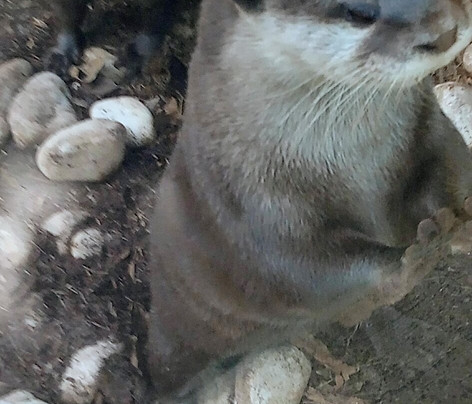 Terra Natura Benidorm-贝尼多姆必去景点