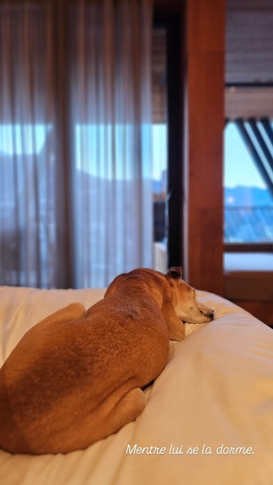 Santre Dolomythic Home-官方