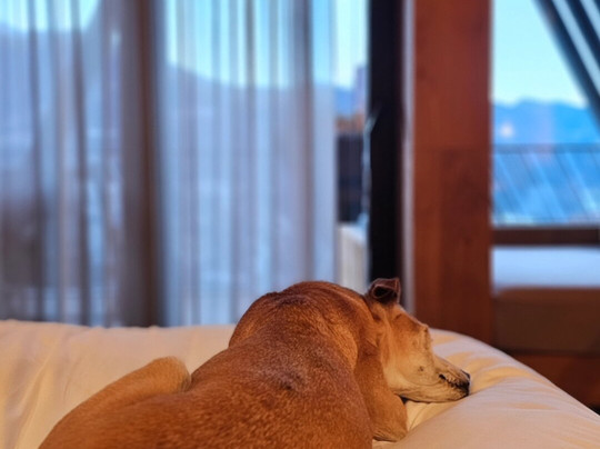 Santre Dolomythic Home主图