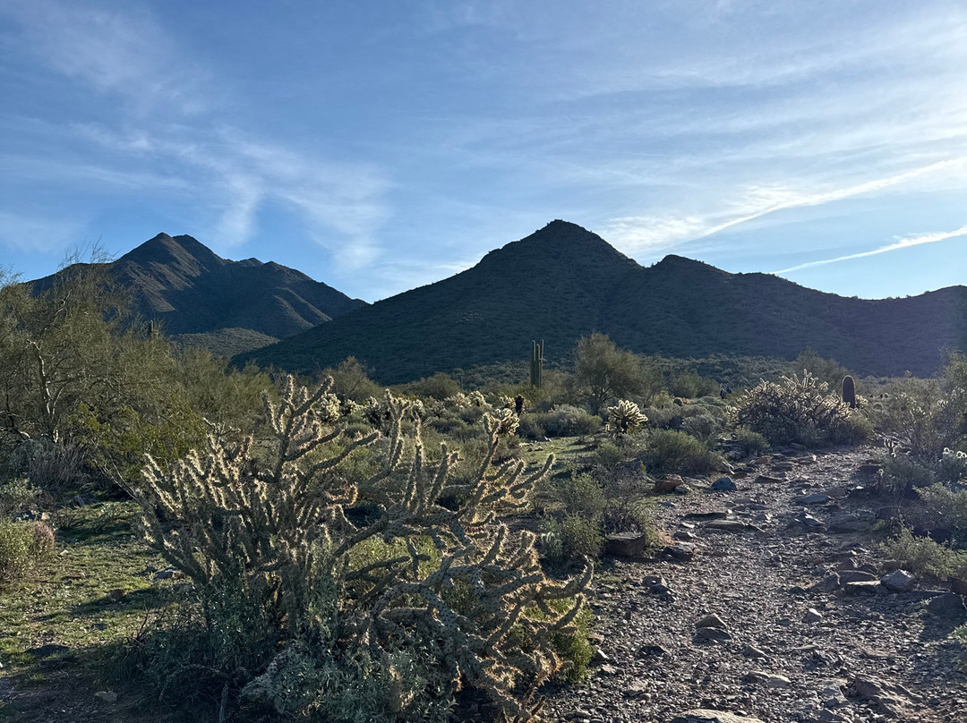 McDowell Sonoran Preserve-斯科茨代尔必去景点