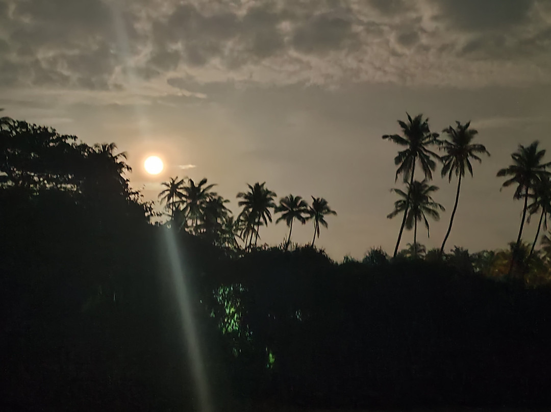 Ceylon Master Tours-Waskaduwa必去景点