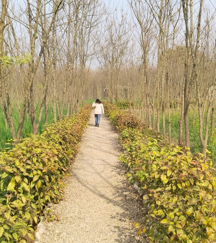 Aalia Jungle Retreat & SPA - Claridges Collection主图