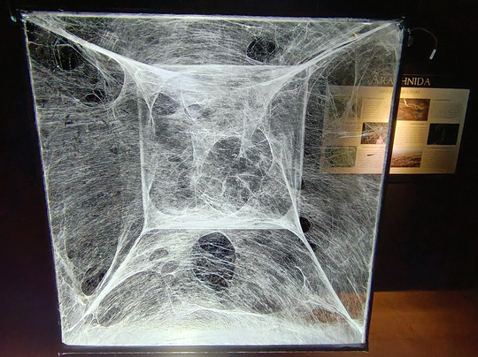 Citta Della Scienza-那不勒斯必去景点