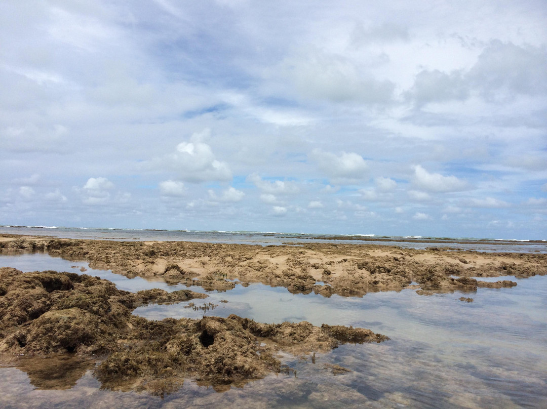 Areia Vermelha Marine State Park-Cabedelo必去景点