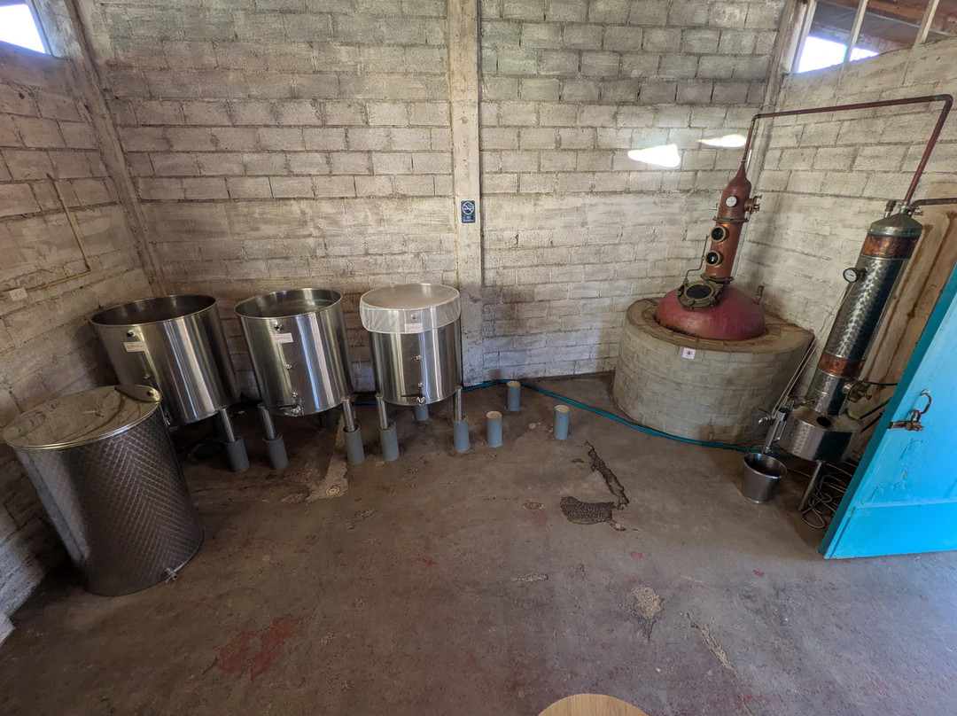 Alto Vista Winery-Noord必去景点