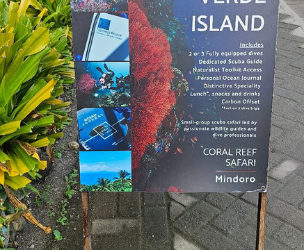 Coral Reef Safari - Verde Island Passage-葡多咖蕾拉必去景点