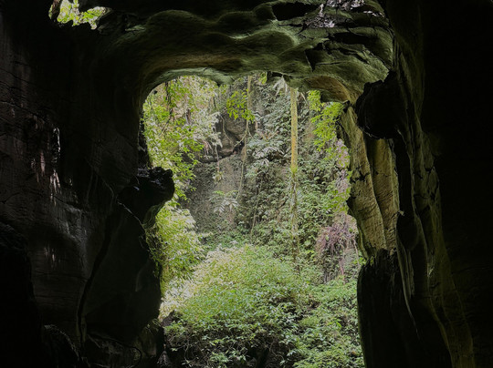 Sumatra Tour Adventures-武吉拉旺必去景点