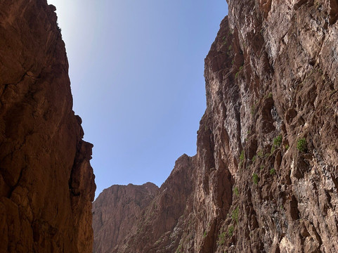 摩洛哥沙漠探险之旅-丹吉尔必去景点