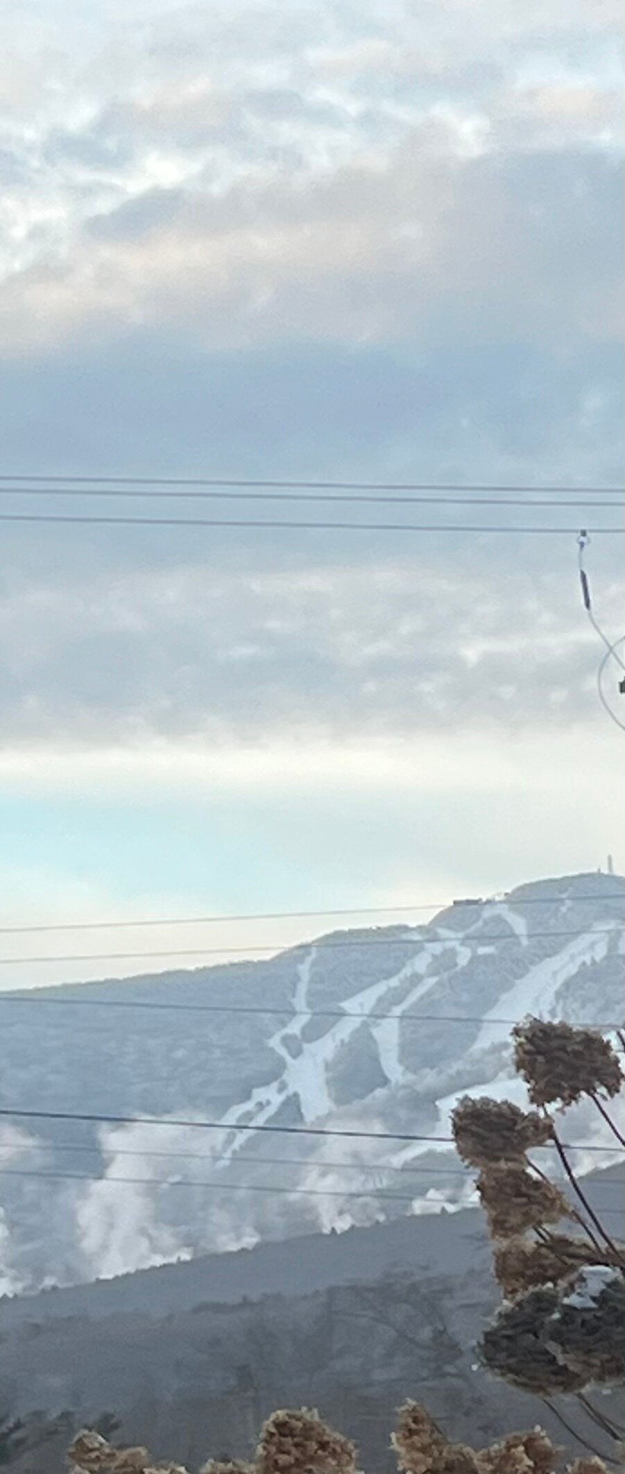 北星旅馆度假村-官方