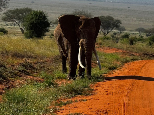 Amico Kenya • Tours & Safari-瓦塔木必去景点