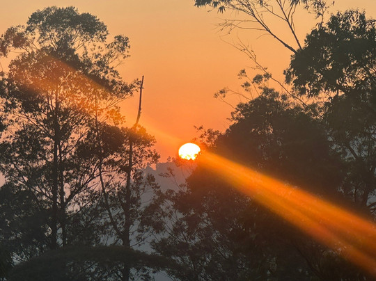The Lavender House By Reveal主图