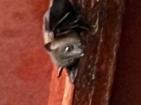 西必洛林缘度假村主图