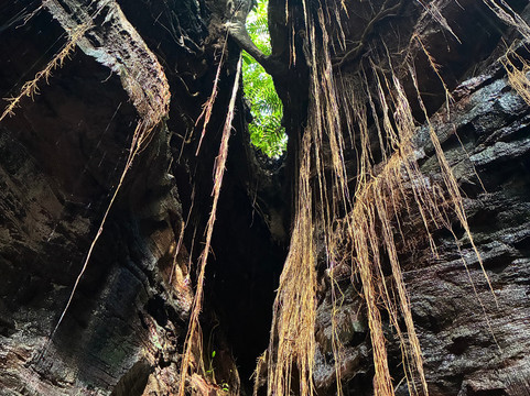 Diego Tour Jalapão-Ponte Alta do Tocantins必去景点