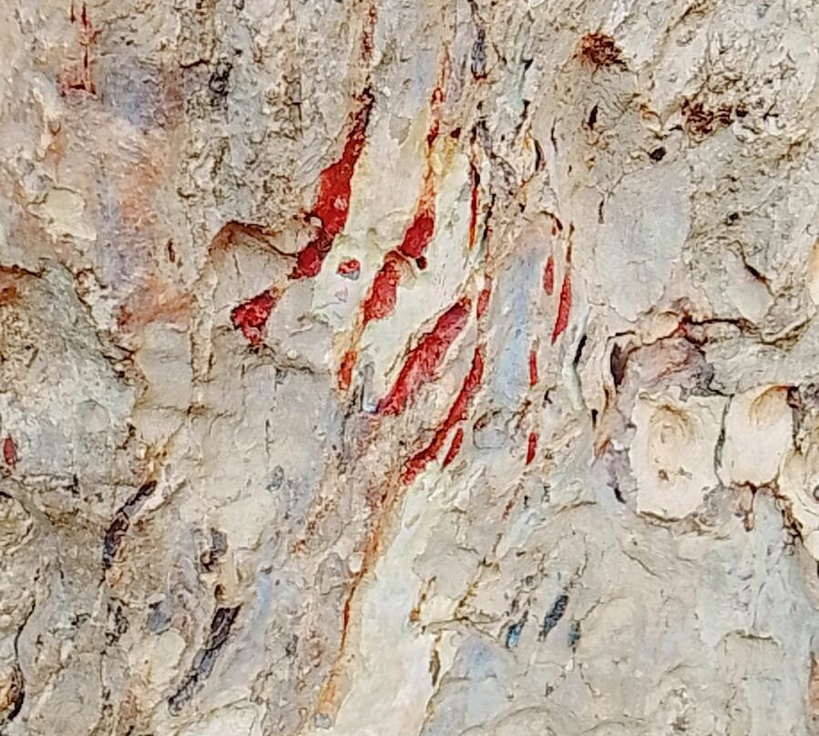 Panna Tiger Reserve-Madla必去景点