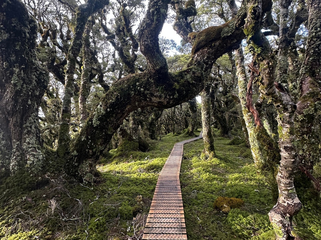 Hump Ridge Track-Tuatapere必去景点