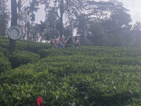 Blackson Tours-康提必去景点