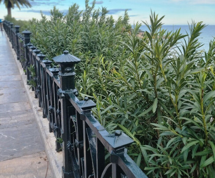 Mediterranean Balcony-塔拉戈纳必去景点